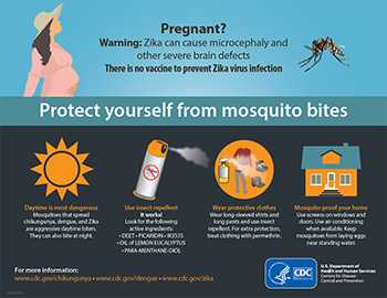 image of zika infographic