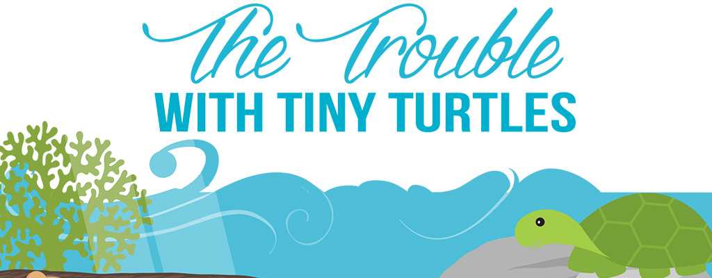The Trouble with Tiny Turtles